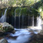 I capelli di Venere a Casaletto Spartano